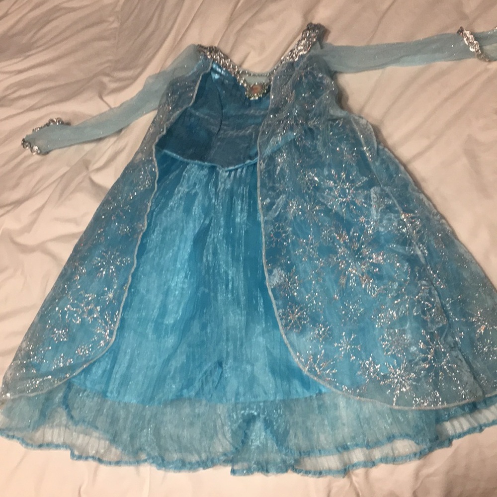 Disney Parks Elsa Gown